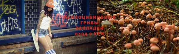 марки nbome Новодвинск